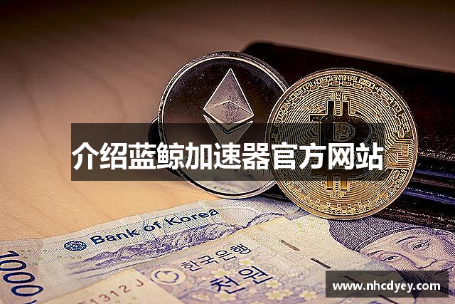 介绍蓝鲸加速器官方网站
